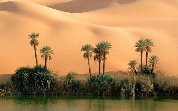 Золотое царство: необычные снимки пустыней мира (ФОТО)