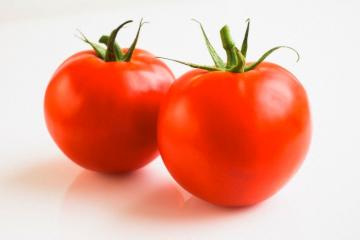 Ученые вывели уникальный сорт помидоров