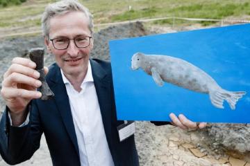 Палеонтологи нашли скелет тюленя возрастом 11 млн. лет (ФОТО)