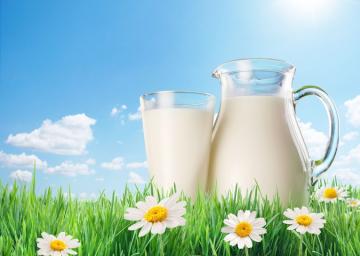 Полезные свойства молока, о которых вы не знали