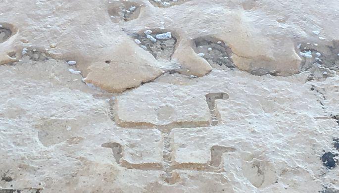 Туристы обнаружили на Гавайях древние петроглифы (ФОТО)