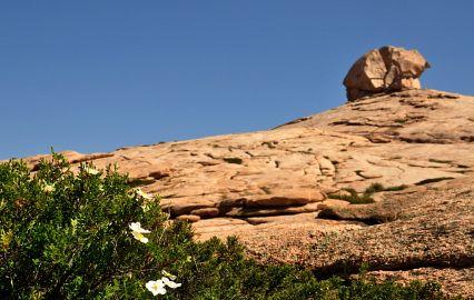 Неземная красота: урочище Бектау-Ата (ФОТО) Неземная красота: урочище Бектау-Ата (ФОТО)