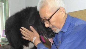 Китаец завещал все свои сбережения собаке