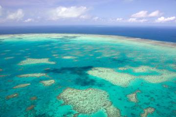 Самый большой коралловый риф в мире (ФОТО)