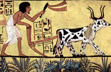 Ученым удалось раскрыть тайны рака древних египтян