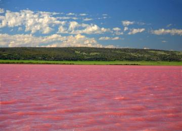 Удивительное Малиновое озеро, которое каждый август становится розовым (ФОТО)