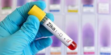 Ученые обнаружили новый канал распространения вируса Зика