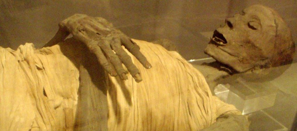 10 невероятных фактов о мумиях, в которые сложно поверить