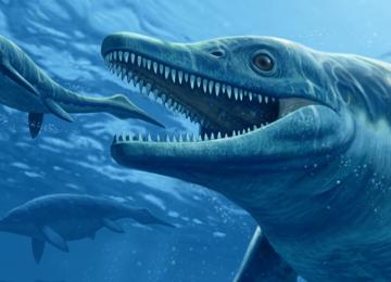 В Шотландии нашли доисторическое морское чудовище 