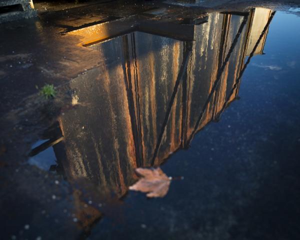 “Дом зеркал”: леденящий душу лабиринт в Тасмании (ФОТО)