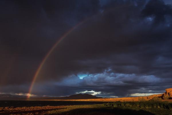 Гармония и бесконечный калейдоскоп жизни: завораживающие красоты дикой природы Монголии (ФОТО)