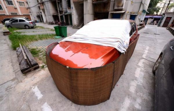 Необычное решение проблемы: китайцы придумали, как защитить автомобиль от грызунов (ФОТО)