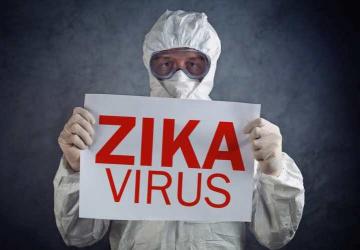 Ученые доказали, что вирус Зика связан с микроцефалией