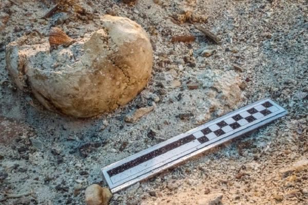 У греческого острова обнаружен скелет возрастом 2000 лет (ФОТО)