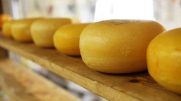 Американские ученые утверждают, что сыр улучшает работу сердца