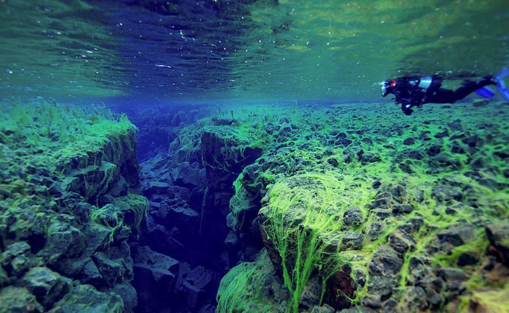 ТОП-10 скрытых под толщей воды излюбленных мест дайверов (ФОТО)