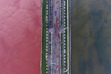 Озеро Яньху в Китае стало двухцветным (ФОТО) 