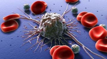 Ученым удалось выяснить, как раковые клетки обманывают иммунитет