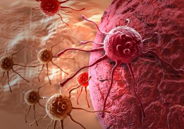 Раковые клетки могут «обманывать» человеческий организм, - ученые