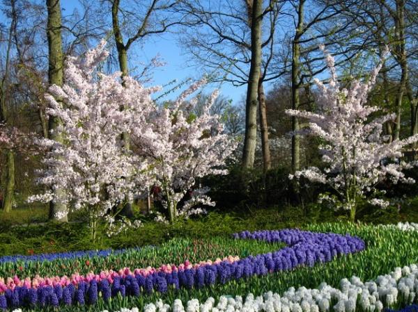 Самый большой цветочный парк в мире (ФОТО)