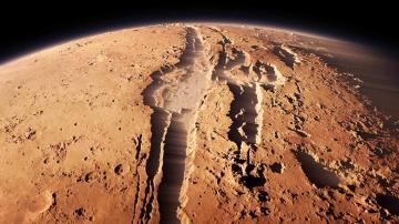 Жизнь на Марсе существует - ученые