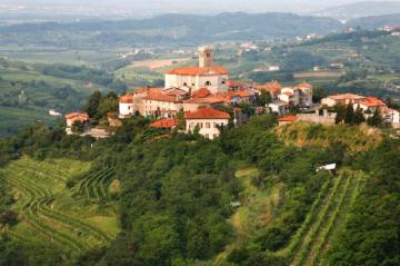 Один из красивейших винодельческих регионов Европы (ФОТО)