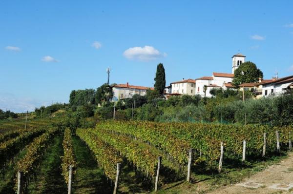Один из красивейших винодельческих регионов Европы (ФОТО)