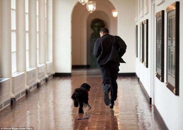 Юмор и демократия: лучшие снимки Барака Обамы (ФОТО)