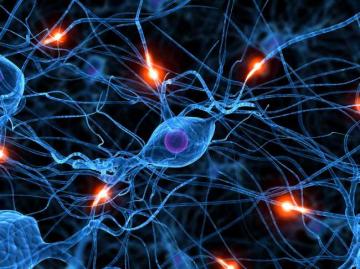 Ученые создали искусственный нерв для устранения болей