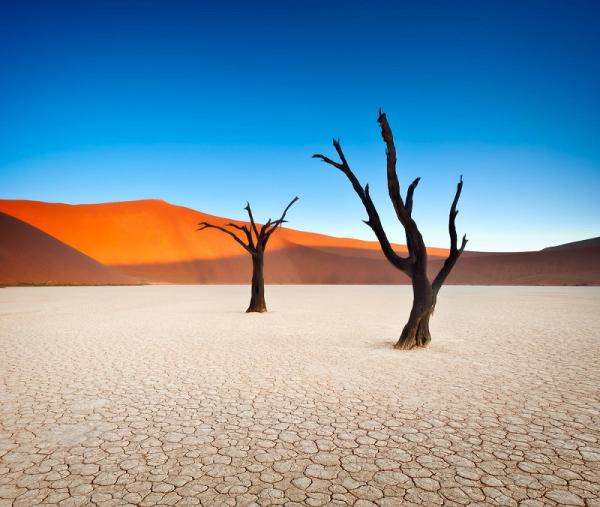  Сюрреалистические пейзажи Мертвой долины (Фото)