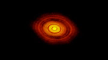 Астрономы в подробностях увидели протопланетные диски (ФОТО)