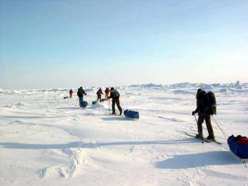 Ученые отправятся в Арктику в поисках самого древнего льда