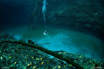Уникальные снимки подводного озера в Мексике (ФОТО)