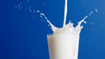 Ученые рассказали, как давно в Европе пьют молоко