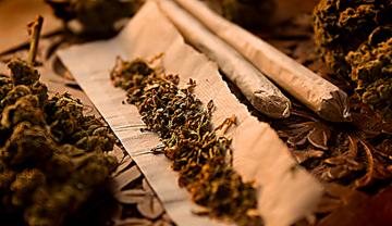 В Аргентине легализовали использование марихуаны в медицинских целях
