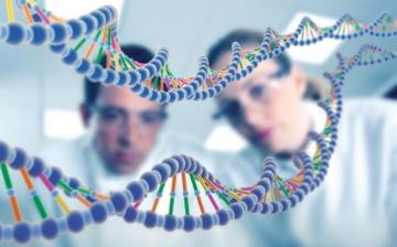 Ученые из Китая впервые проверили генную терапию на человеке