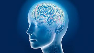 Ученые выявили аномалию головного мозга у аутистов