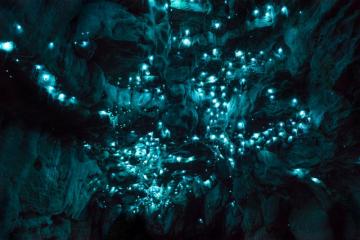 Уникальная пещера в Новой Зеландии, которой 30 миллионов лет (ФОТО)