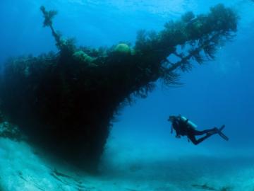 На дне Черного моря обнаружили целое кладбище погибших кораблей (ФОТО)