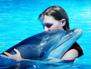 Дельфин может погибнуть из-за контакта с человеком, – ученые