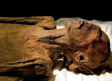 Ученым удалось разгадать тайну древних мумий