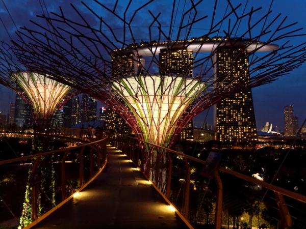 Чудо инженерной мысли: сад будущего в Сингапуре (ФОТО)