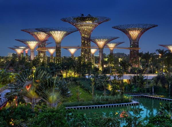 Чудо инженерной мысли: сад будущего в Сингапуре (ФОТО)