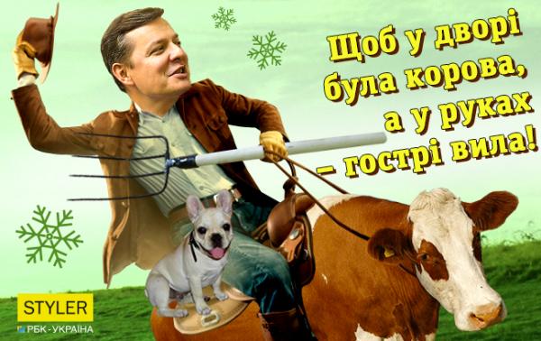 Смешные поздравления с Новым годом от украинских политиков (ФОТО)