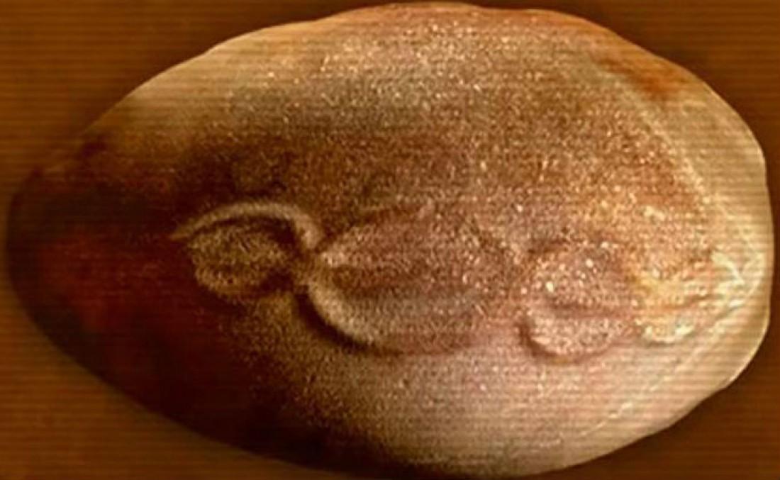В Португалии обнаружили инопланетное яйцо с изображением ДНК (ФОТО)