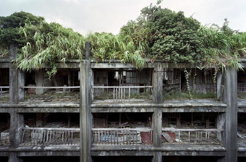 Покинутый людьми остров Хасима, где природа берет свое (ФОТО)