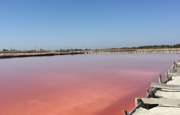 Розовая вода украинского Мертвого моря (ФОТО)