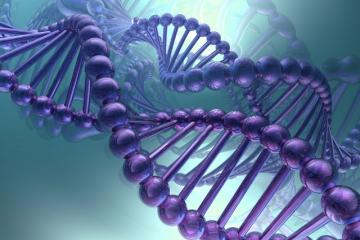 Ученые нашли 23 гена, влияющих на распространение рака в организме