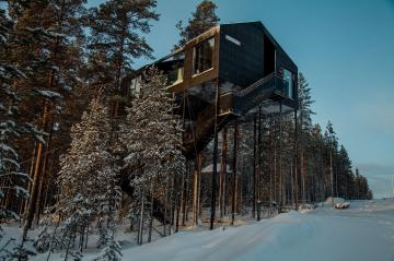 В унисон с природой: оригинальный отель в одном из лесов Норвегии (ФОТО)