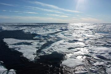 Стало известно, когда исчезнет лед в Арктике